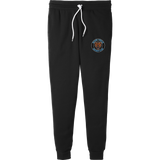 Hazel Park Bears Breakaway Youth Jogger Pants